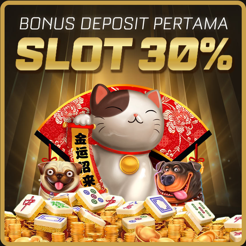 Slot maniakplay 43